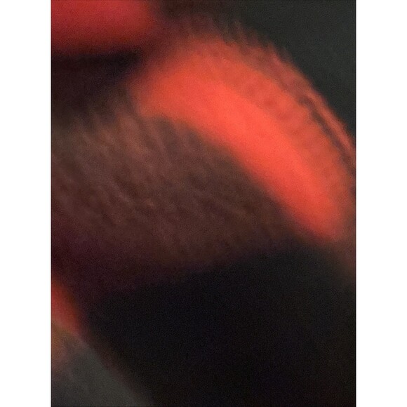 Chaps Ralph Lauren Women’s NWT BUFFALO PLAID Vest Multicolor Full Zip Ski Cabin - Picture 10 of 16